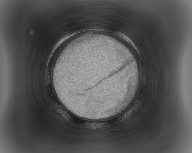 X0000082991027200703020840