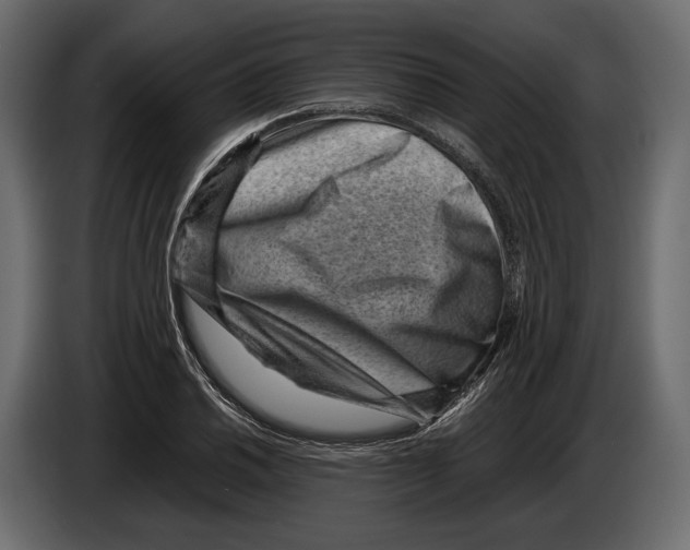 X0000082991030200703020840