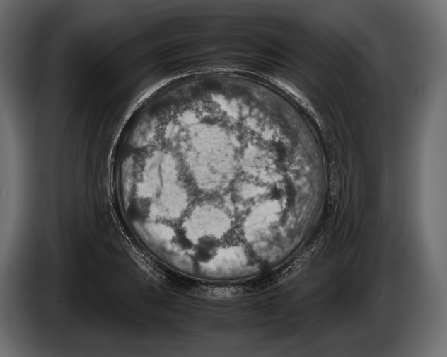 X0000082991031200703020840