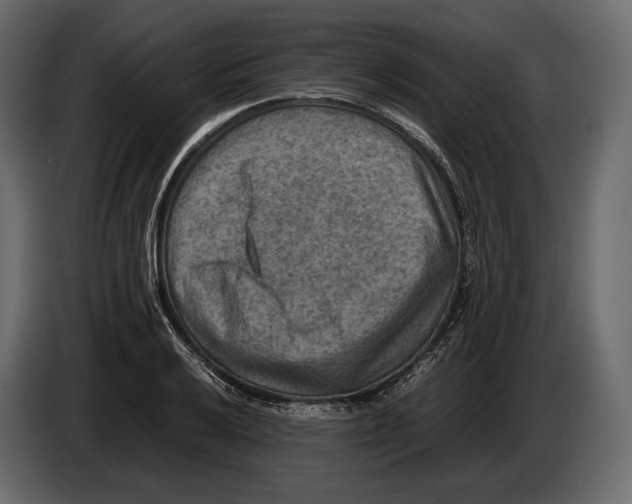 X0000082991032200703020840