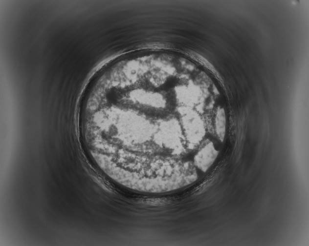 X0000082991035200703020840