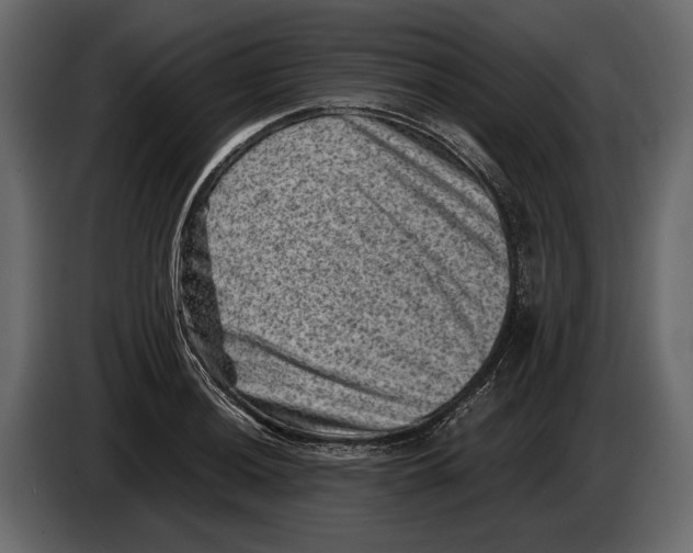 X0000082991036200703020840