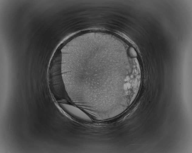 X0000082991037200703020840