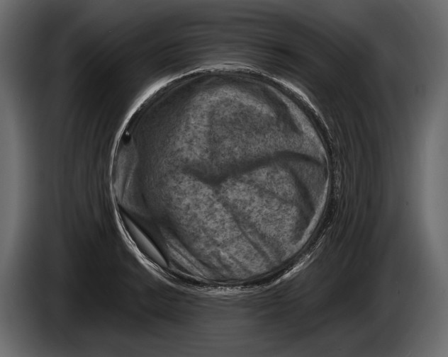 X0000082991038200703020840