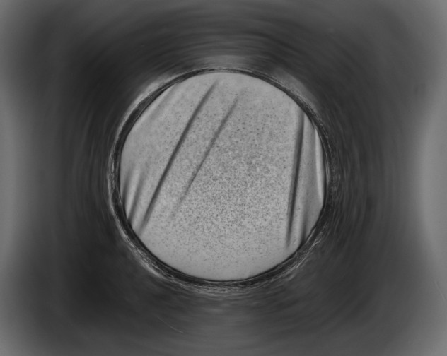 X0000082991040200703020840