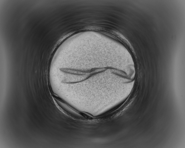 X0000082991041200703020840