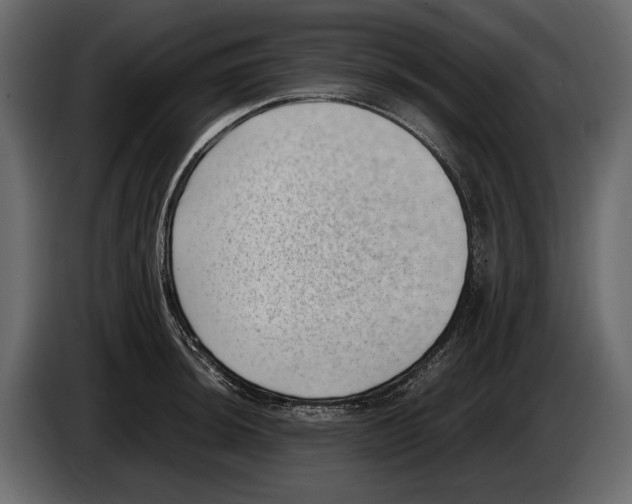 X0000082991044200703020840