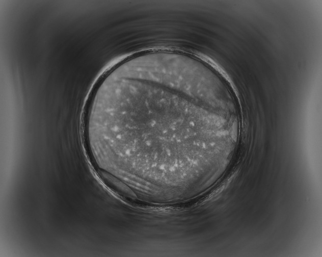 X0000082991045200703020840