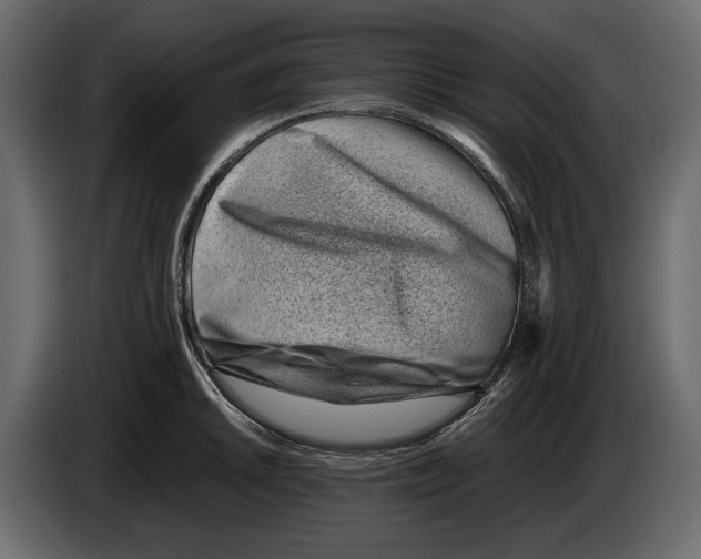 X0000082991046200703020840