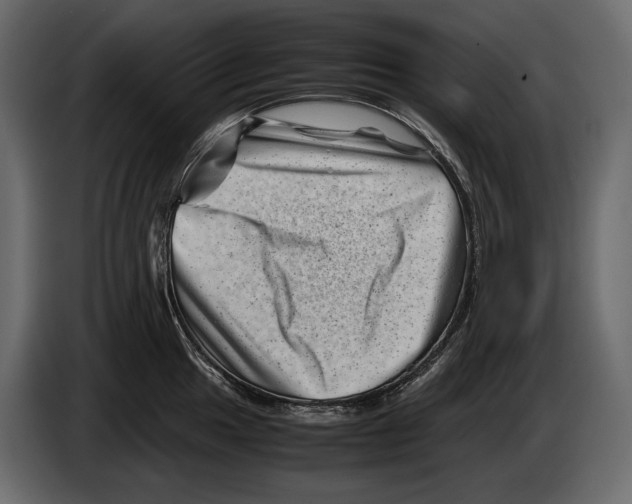 X0000082991049200703020840