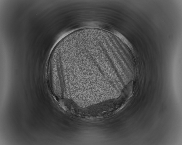 X0000082991052200703020840