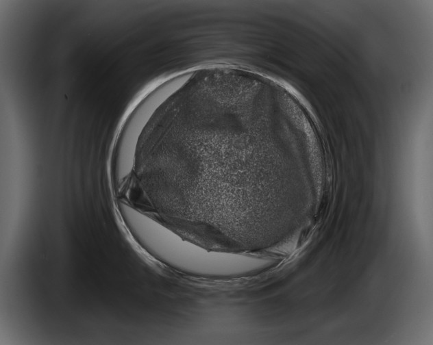 X0000082991054200703020840