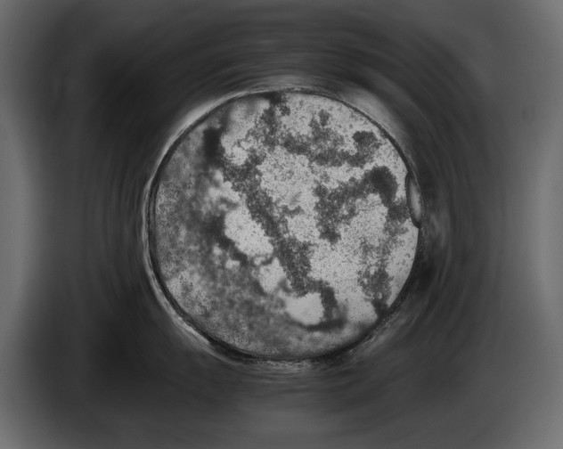 X0000082991055200703020840