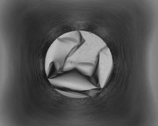 X0000082991058200703020840