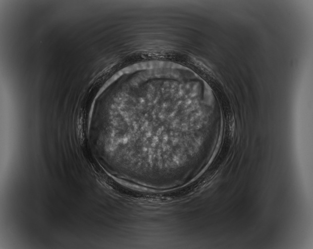 X0000082991060200703020840