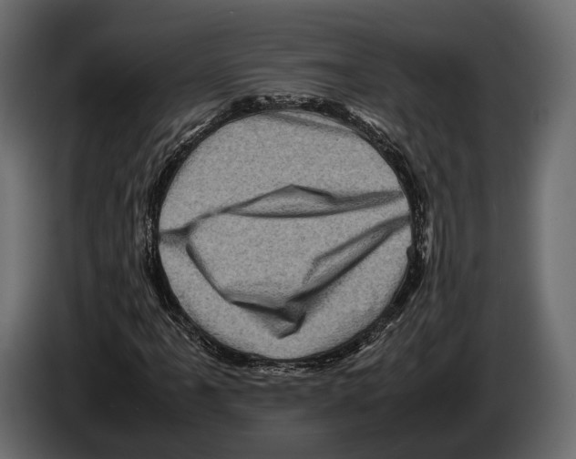 X0000082991061200703020840