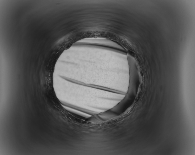 X0000082991062200703020840