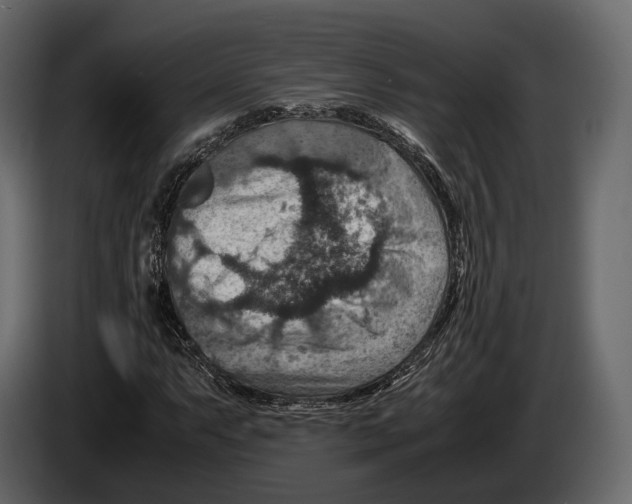 X0000082991063200703020840