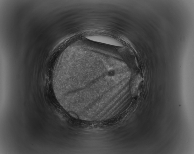 X0000082991064200703020840