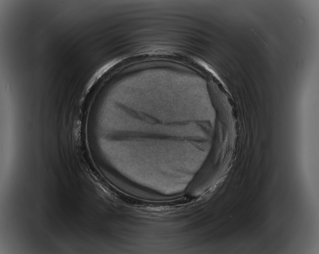 X0000082991066200703020840