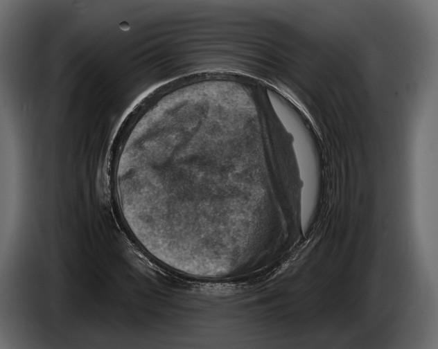 X0000082991068200703020840