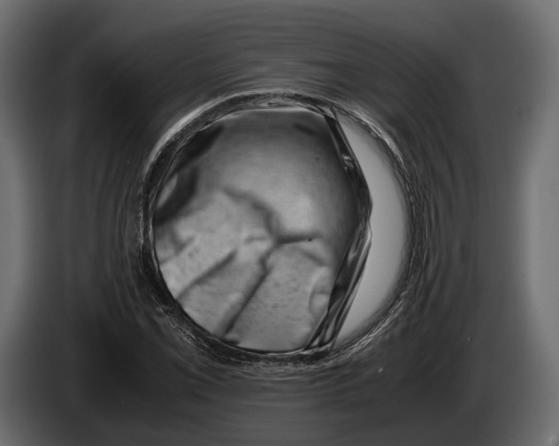 X0000082991069200703020840