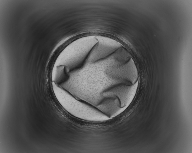 X0000082991070200703020840