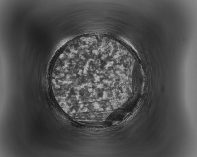 X0000082991071200703020840