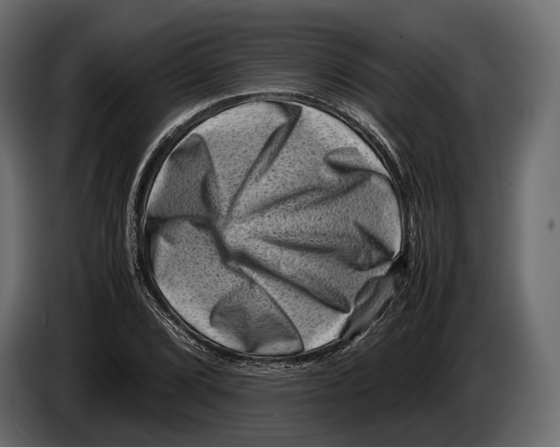 X0000082991072200703020840