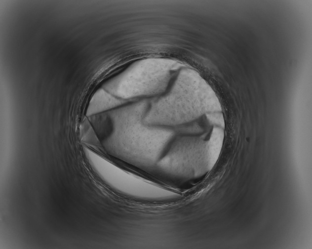 X0000082991073200703020840