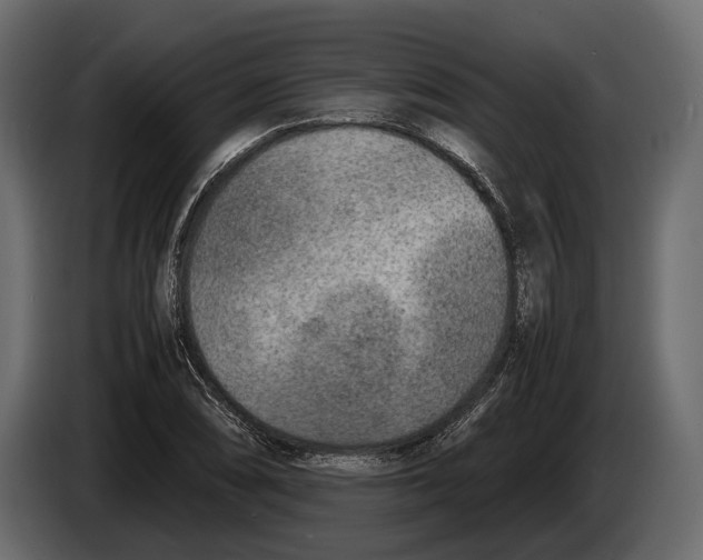 X0000082991074200703020840