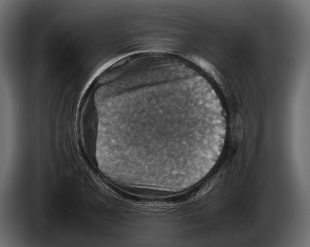 X0000082991077200703020840