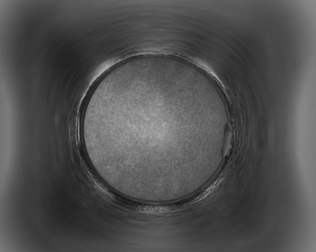 X0000082991079200703020839