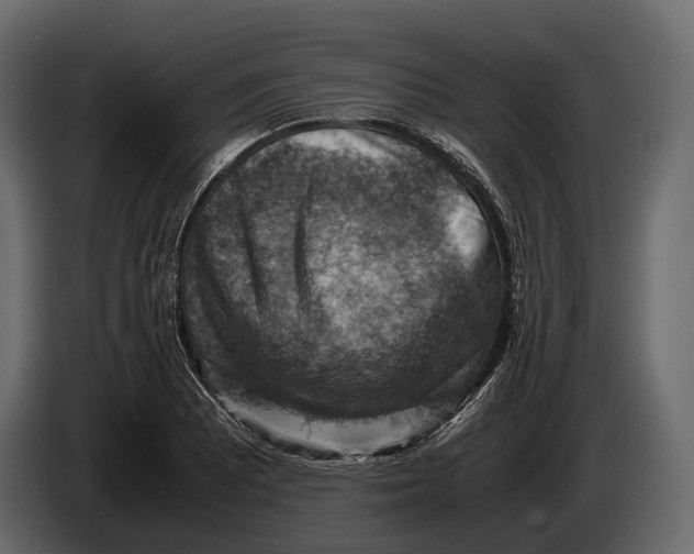 X0000082991081200703020839