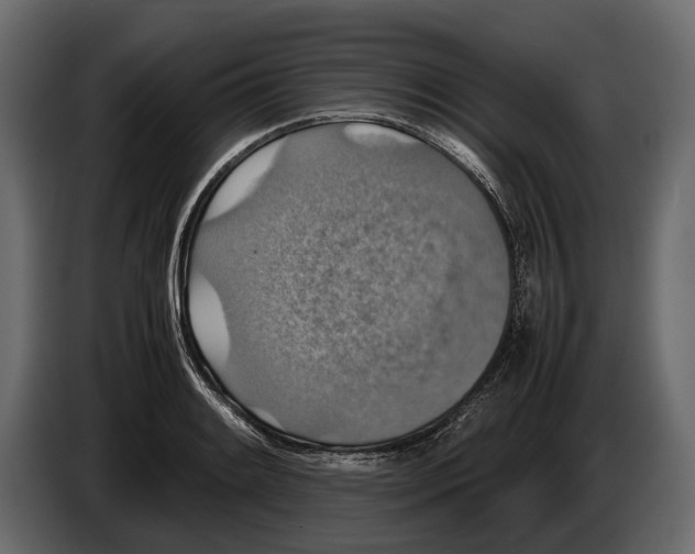 X0000082991084200703020839