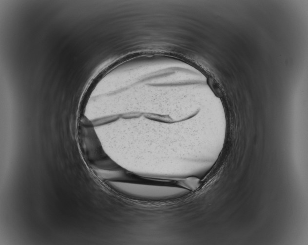 X0000082991085200703020839