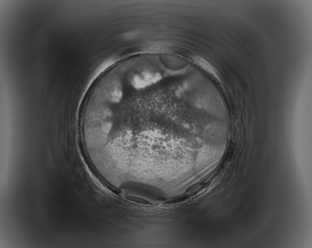 X0000082991087200703020839