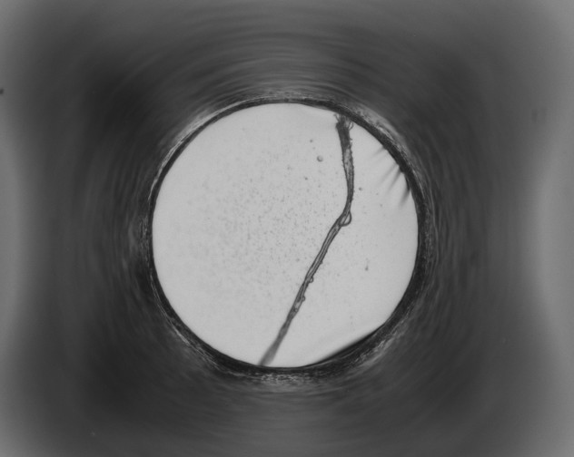 X0000082991089200703020839