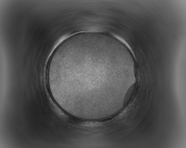 X0000082991091200703020839