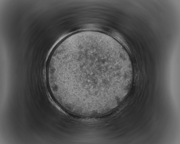 X0000082991092200703020839