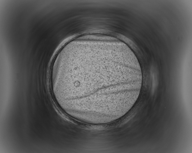 X0000082991094200703020839