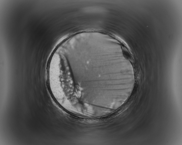 X0000082991095200703020839