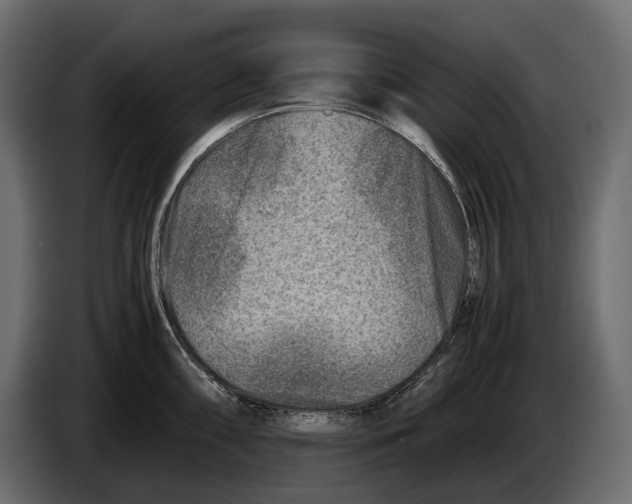 X0000082991098200703020839