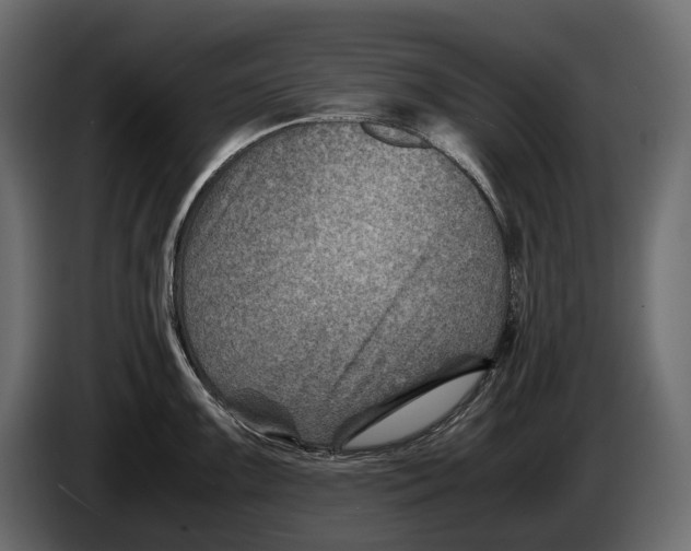 X0000082991099200703020839