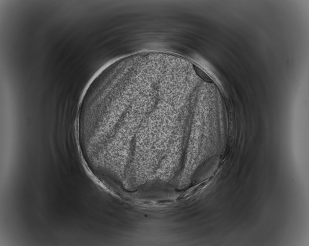 X0000082991100200703020839