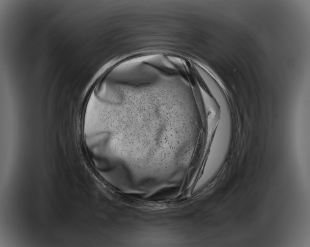 X0000082991101200703020839