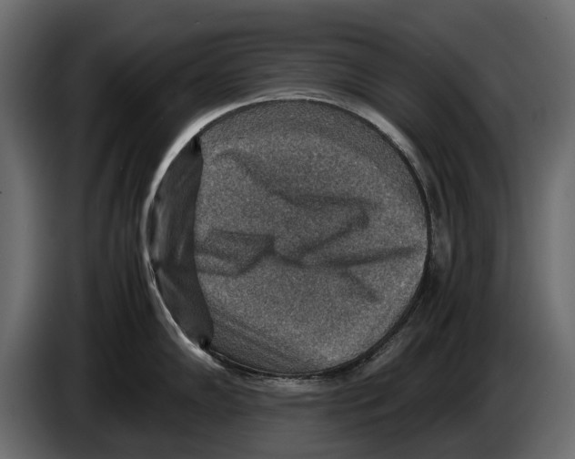 X0000082991102200703020839