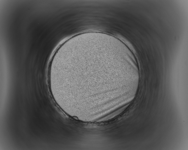 X0000082991104200703020839