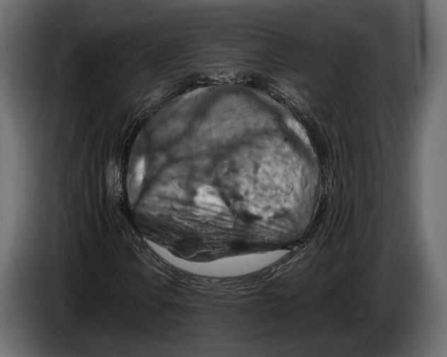 X0000082991106200703020839