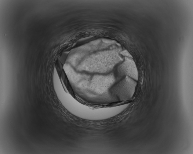 X0000082991109200703020839